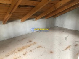casa-dpe-la-gri-cu-1000-mp-teren-de-vanzare-alba-iulia-zona-kaufland-24